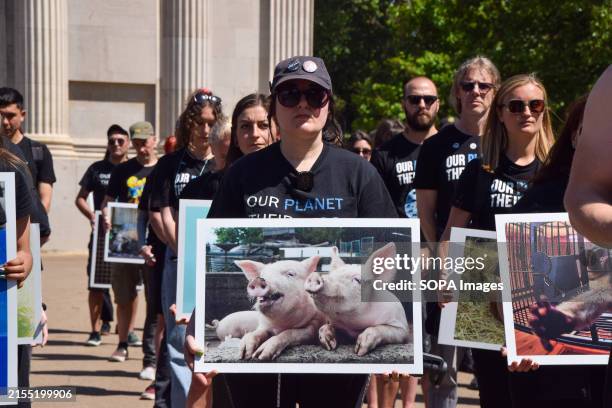 Protester holds a picture of pigs during the demonstration. Animal rights activists gathered with pictures of animals next to the Wellington Arch at...