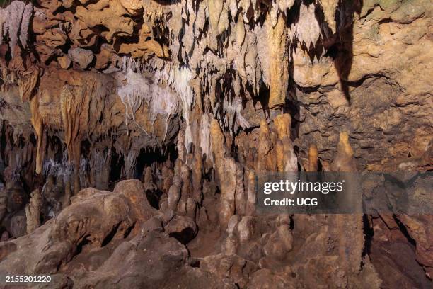 Limestone rock formations in a cave at Florida Caverns State Park in the Florida panhandle near Marianna.