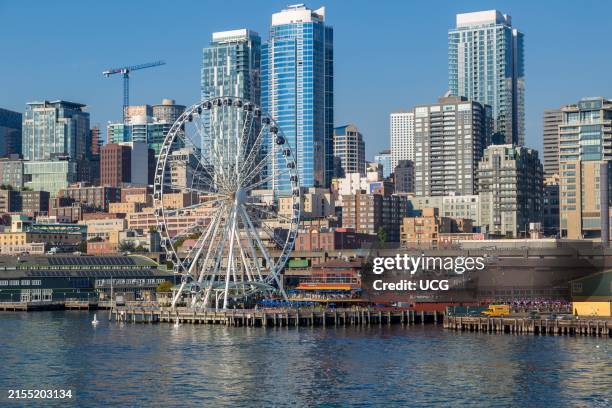 Gradial Seattle 1,642 Great Seattle Wheel Stock Photos, High-Res Pictures, and Images ...