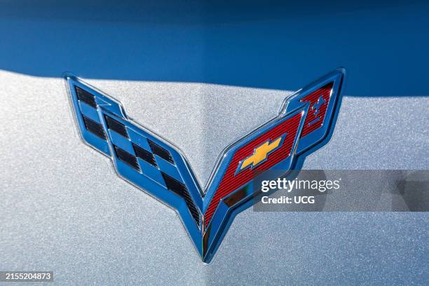 Chevrolet Corvette emblem on hood of vehicle.