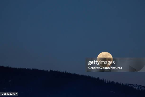 luna llena saliendo sobre nelson, columbia británica, canadá - luna llena fotografías e imágenes de stock