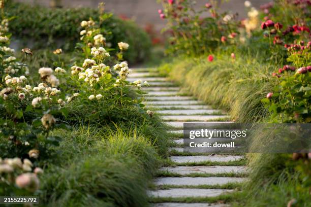 footpath through garden - garden path stock pictures, royalty-free photos & images