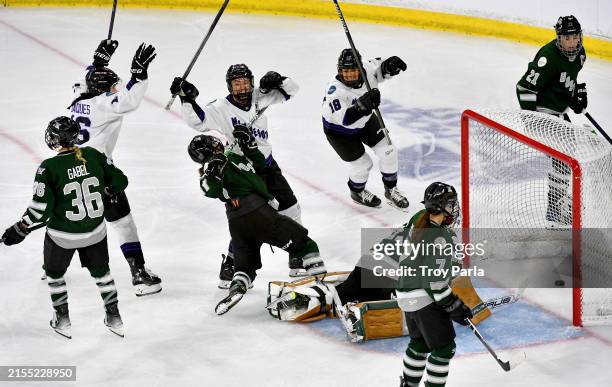 Liz Schepers of Minnesota celebrates her goal against Boston in the second period to open the scoring during Game Five of the PWHL Finals at Tsongas...