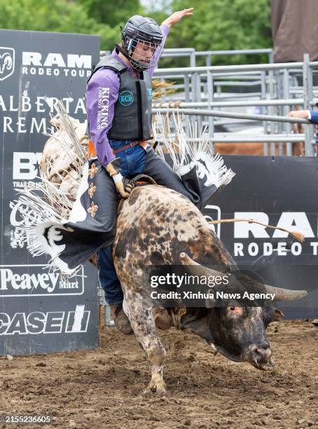Ontario Rodeo Bull Riding 44 Brooklin Ontario Stock Photos, High-Res Pictures, and Images - Getty ...
