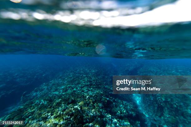 Tiparoo Reef 198 Teahupoo Reef Stock Photos, High-Res Pictures, and Images - Getty ...