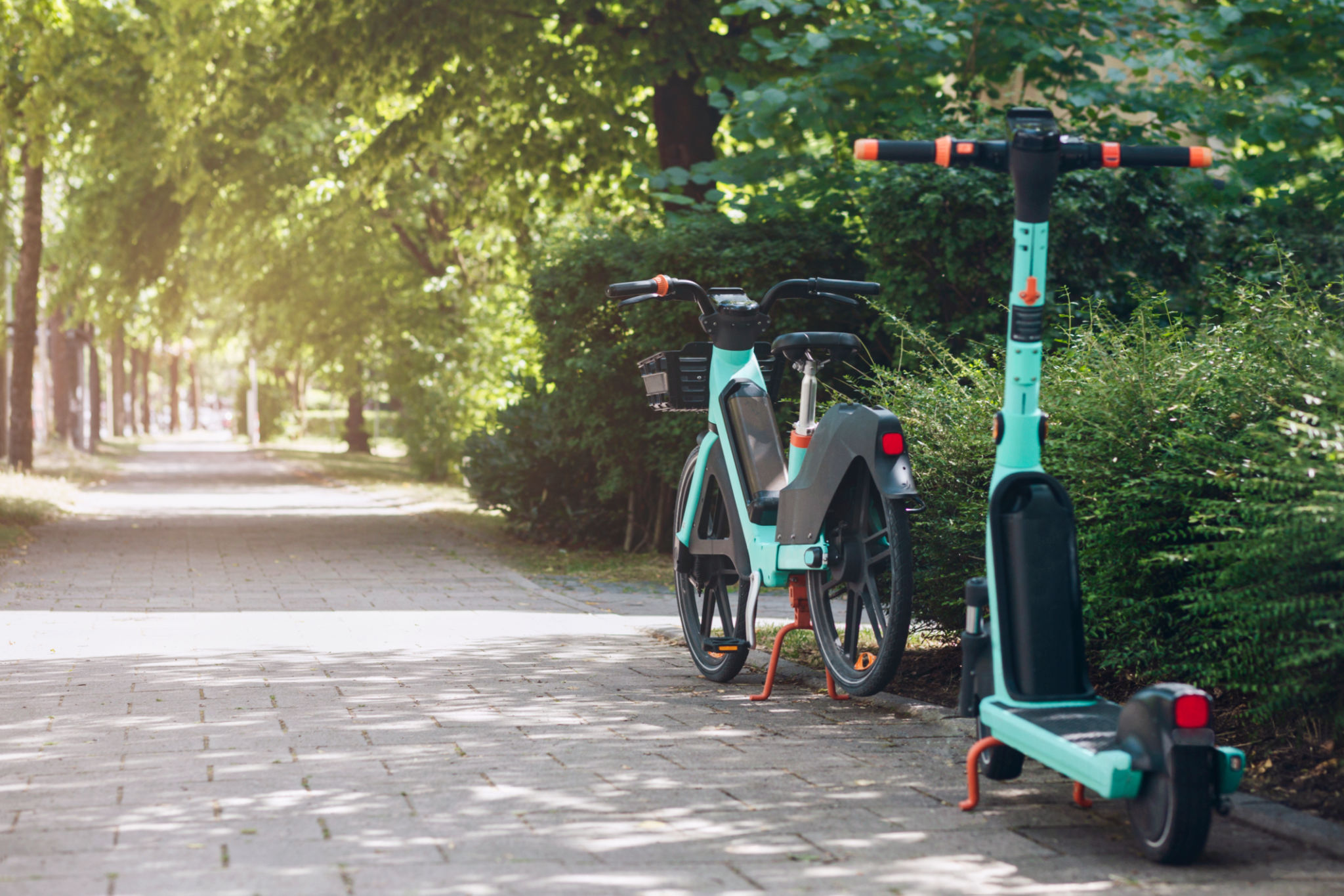 e bike
