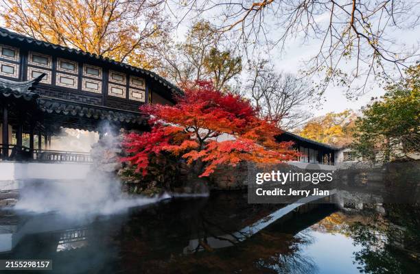 suzhou gardens in autumn - ahorn stock-fotos und bilder