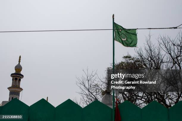 kovalam village, islamic flag - pakistani flag stock pictures, royalty-free photos & images