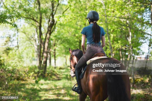 rear view of female jockey riding horse towards green trees - equestrian helmet stock pictures, royalty-free photos & images