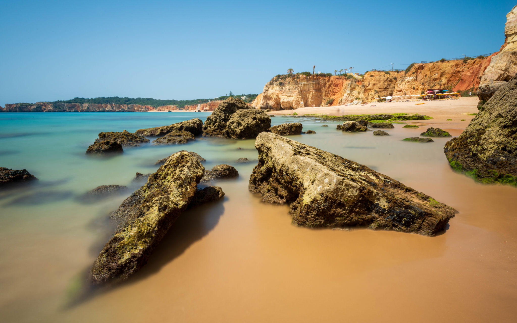 portimao festival