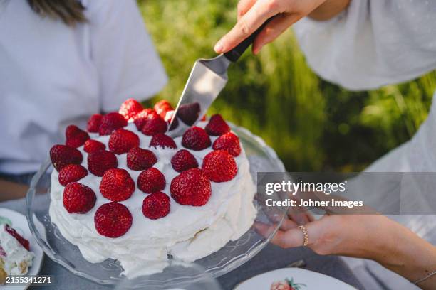midsection of woman serving strawberry cake during summer solstice brunch in back yard - svensk sommar bildbanksfoton och bilder
