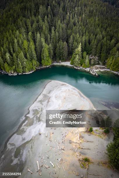 port renfrew, vancouver island, drone image - treetop stock pictures, royalty-free photos & images