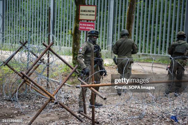 Polish soldiers patrol the border with Belarus along the border fence in the Bialowieza forest. Poland reintroduces an exclusion zone on parts of its...