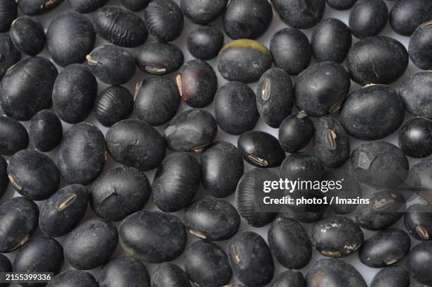 black beans - bilberry england stock pictures, royalty-free photos & images