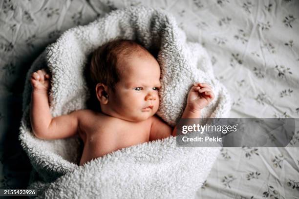 bambino sveglio che giace avvolto in una coperta - avvolto foto e immagini stock