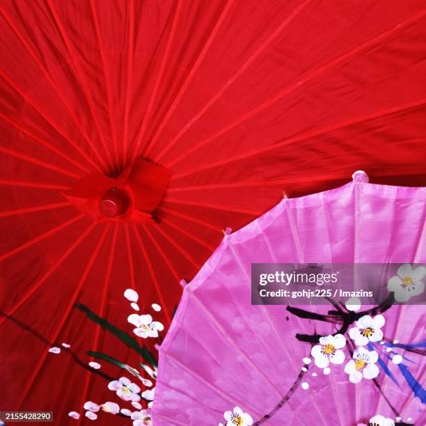 flower umbrella - cocktail umbrella stock pictures, royalty-free photos & images