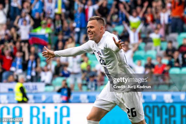 Josip Ilicic of Slovenia celebrates scoring Slovenia's second goal during international friendly match between Slovenia and Armenia at Stadion...