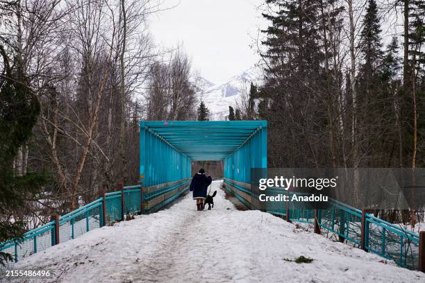 People walk their dogs on a snowy road as the daily life continues at Campbell Creek Trailin Anchorage, Alaska, United States on April 22, 2024.