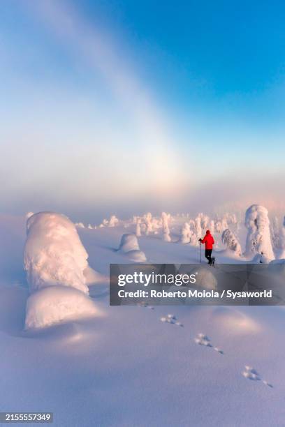 man admiring the rainbow over ice sculptures - floresta de boreal imagens e fotografias de stock