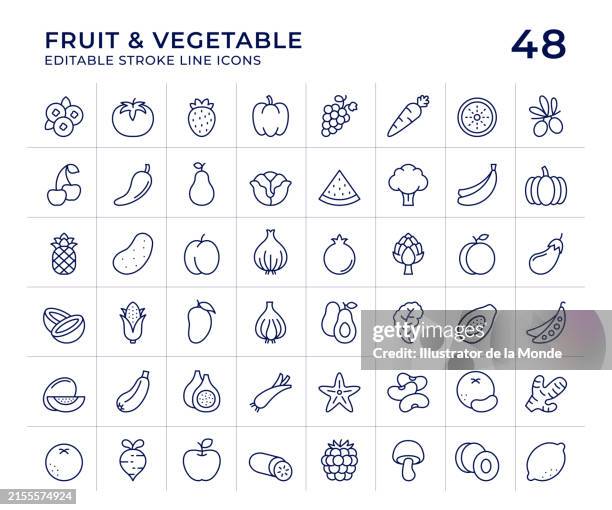 ilustrações de stock, clip art, desenhos animados e ícones de fruit and vegetable line icons - fruta