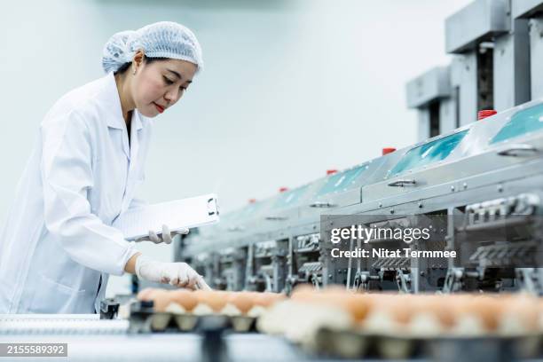 Quality Control Process Food 55 Food Erp Stock Photos, High-Res Pictures, and Images - Getty Images