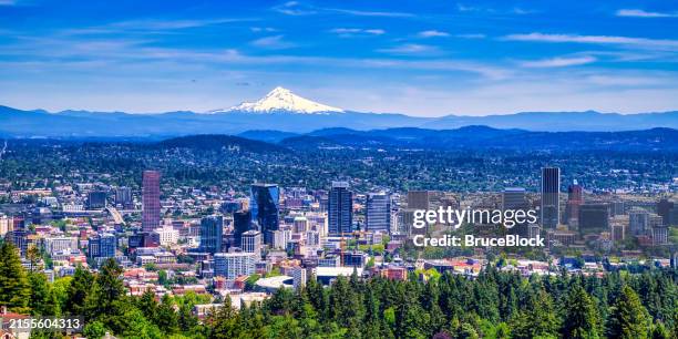 panorama portland oregon skyline with mt. hood - portland oregon stock pictures, royalty-free photos & images