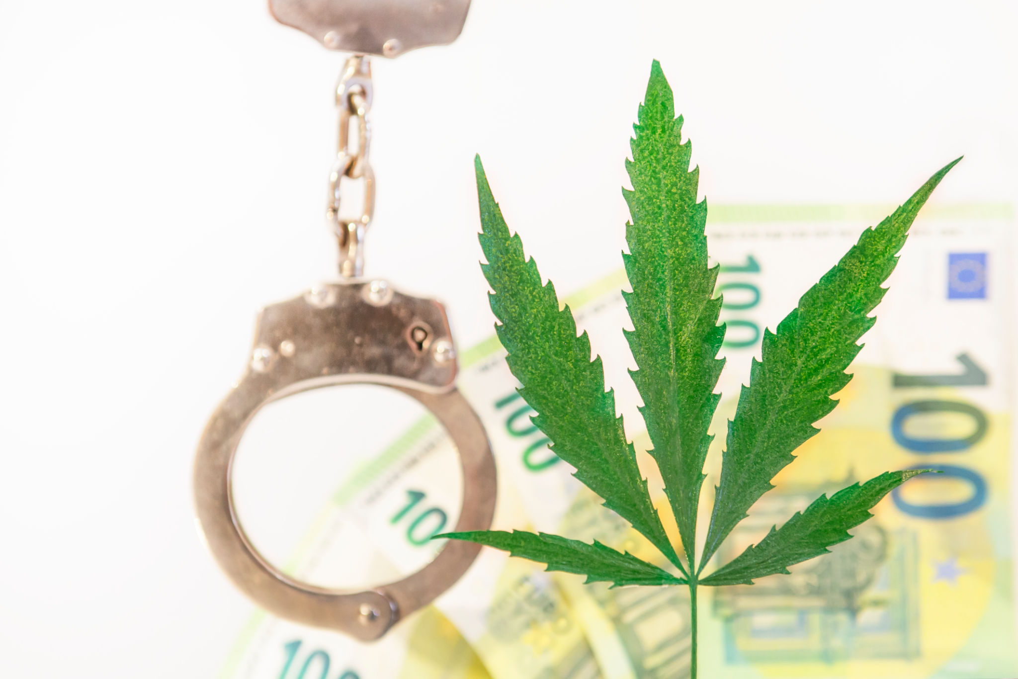 cannabis financial planning