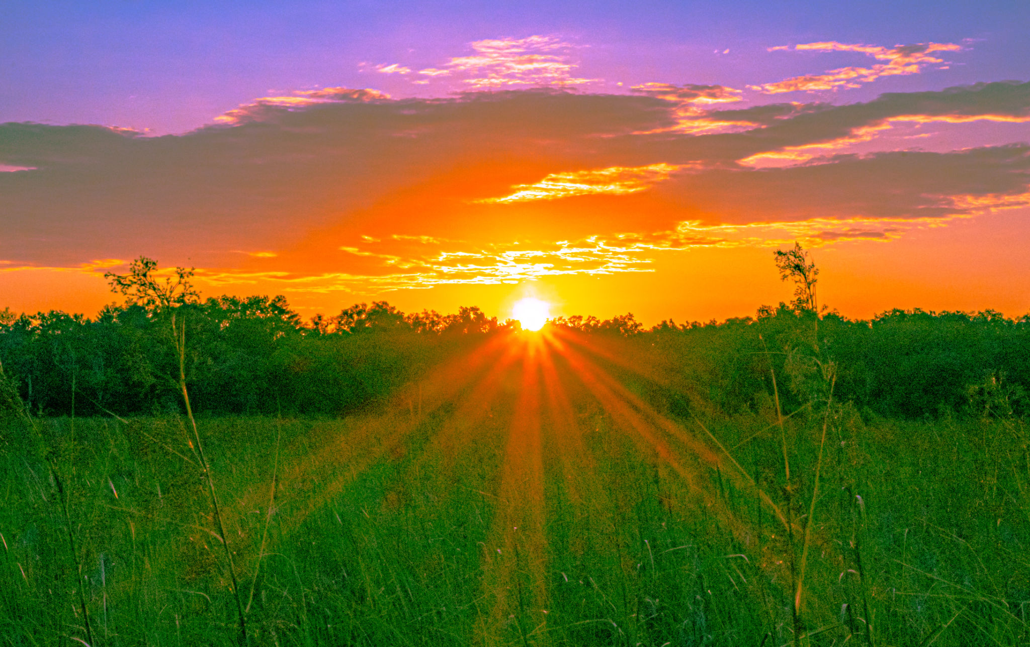 florida farmland