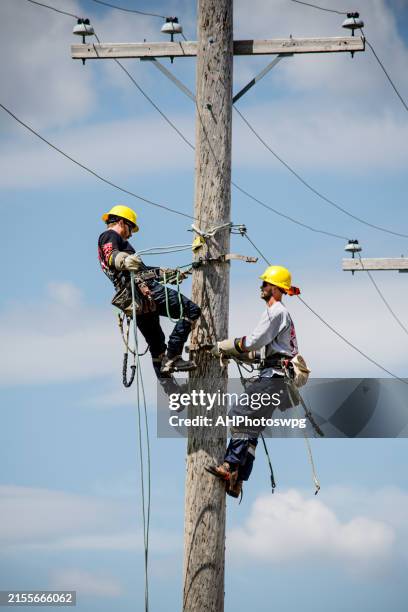 talentierte linemen zeigen talent beim winnipeg rodeo event - telefonleitung stock-fotos und bilder