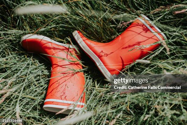 top down of red welly boots on grass - rubberlaars stockfoto's en -beelden