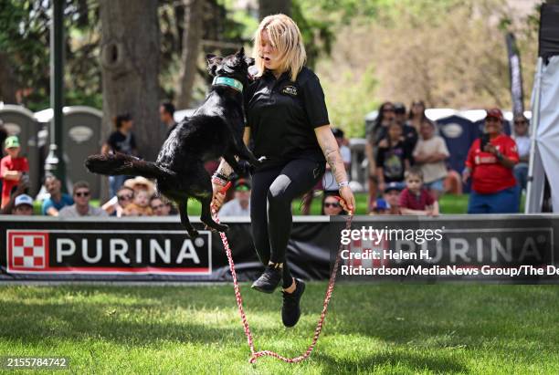 Jump Roping Dog 67 Dog Jump Rope Stock Photos, High-Res Pictures, and Images - Getty Images