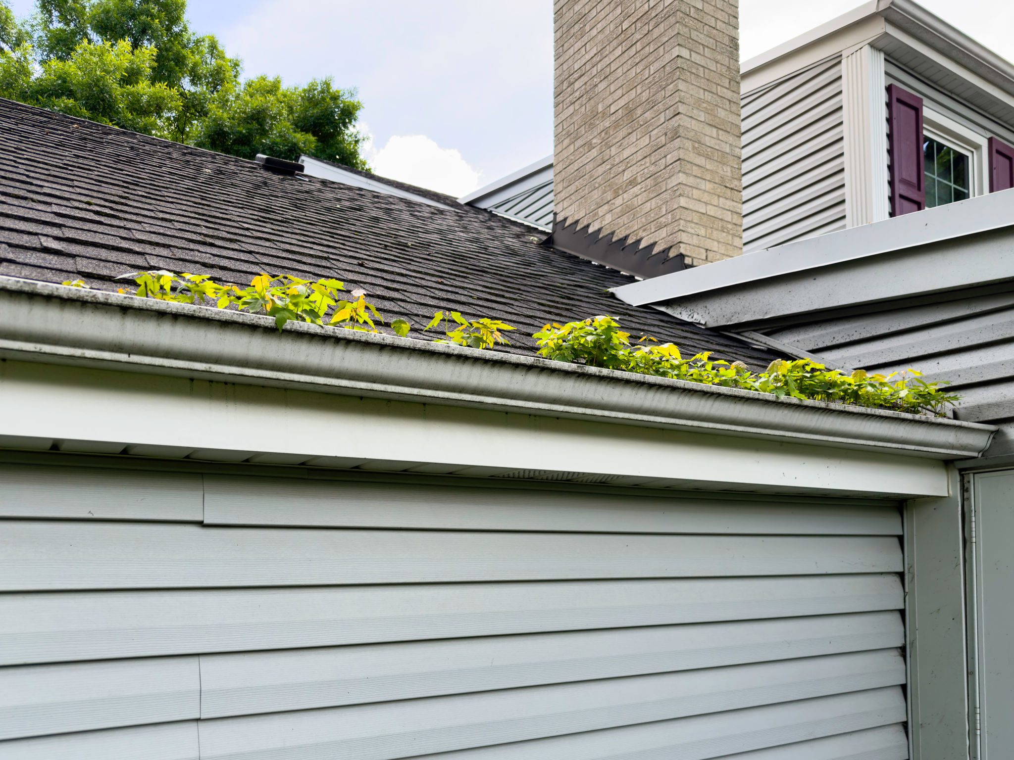 Messy Gutter Messy Gutter