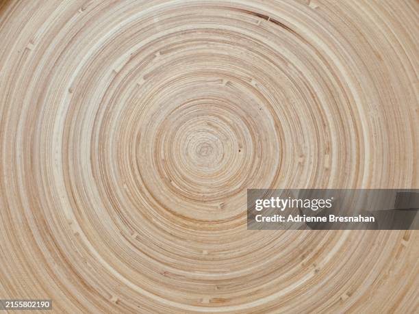 cross section of tree rings - concentric circles nature stock pictures, royalty-free photos & images