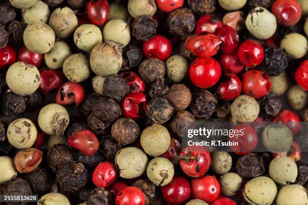colored peppers mix - verde estágio de flora - fotografias e filmes do acervo