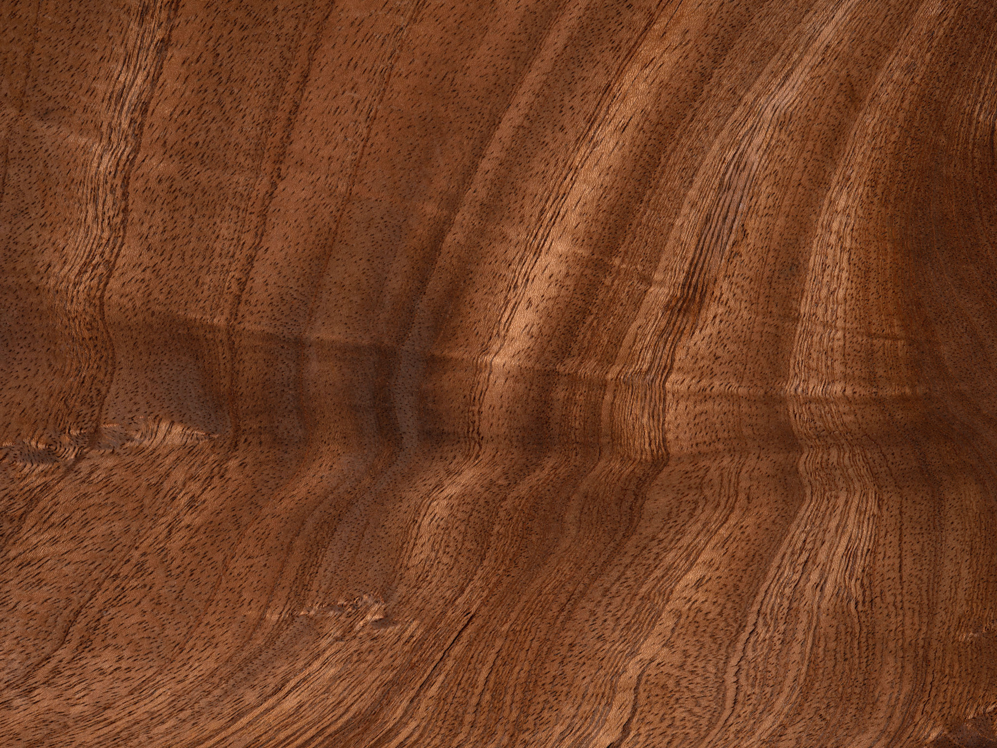 cabinet finishes