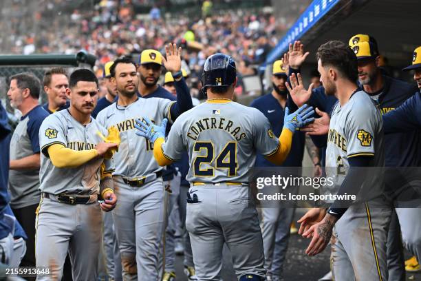 Milwaukee Brewers catcher William Contreras gets congratulated in the dugout during the Detroit Tigers versus the Milwaukee Brewers game on Tuesday...