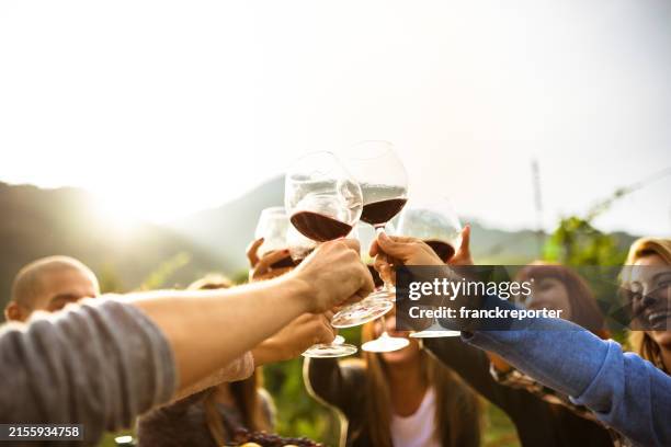 friends doing a wine tasting - wine glass stock pictures, royalty-free photos & images