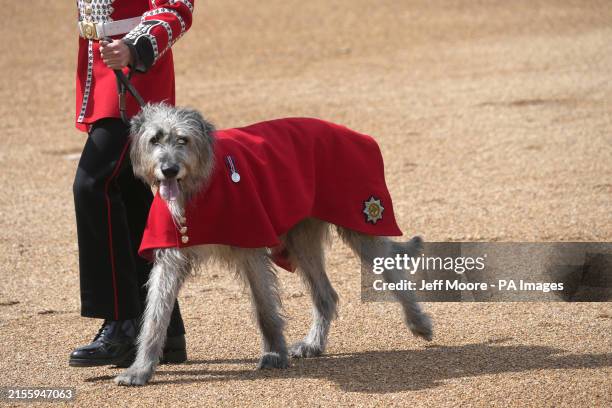 The Colonel's Review, for Trooping the Colour, at Horse Guards Parade in London, ahead of the King's Birthday Parade on June 15. Picture date:...