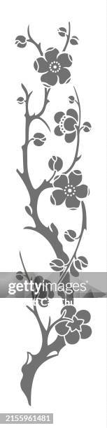 illustrazioni stock, clip art, cartoni animati e icone di tendenza di traditional chinese woodcarving patterns-plum blossom - fiore di pesco