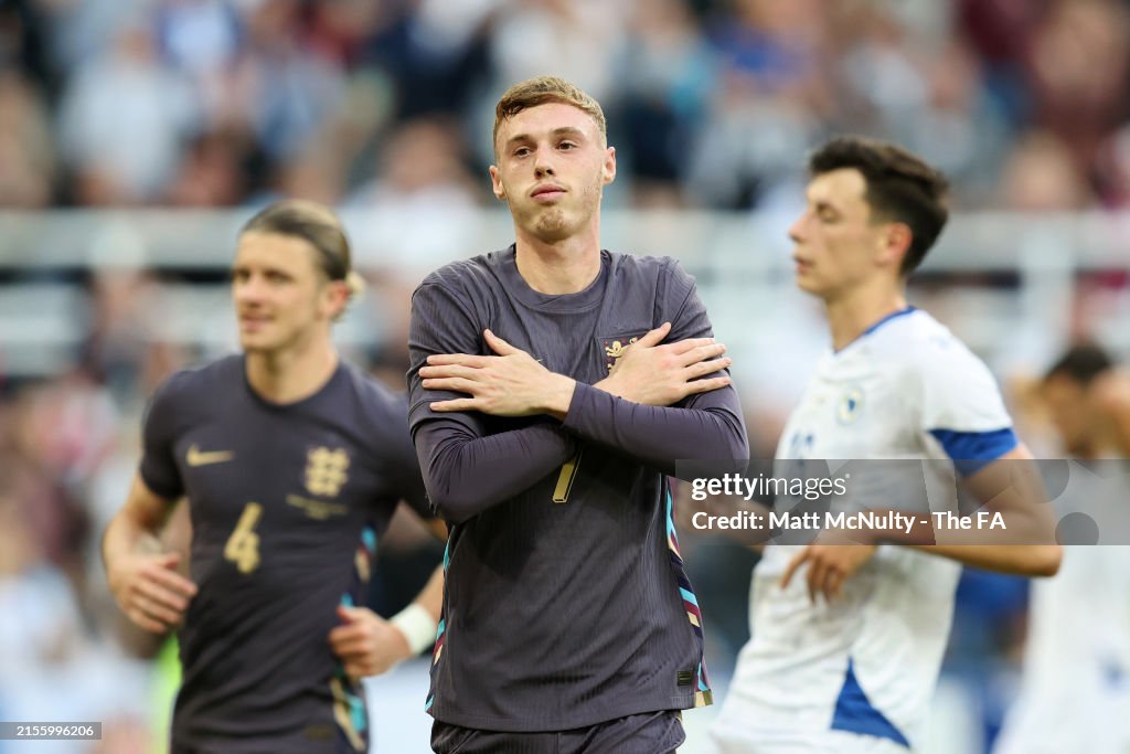 England v Bosnia & Herzegovina - International Friendly