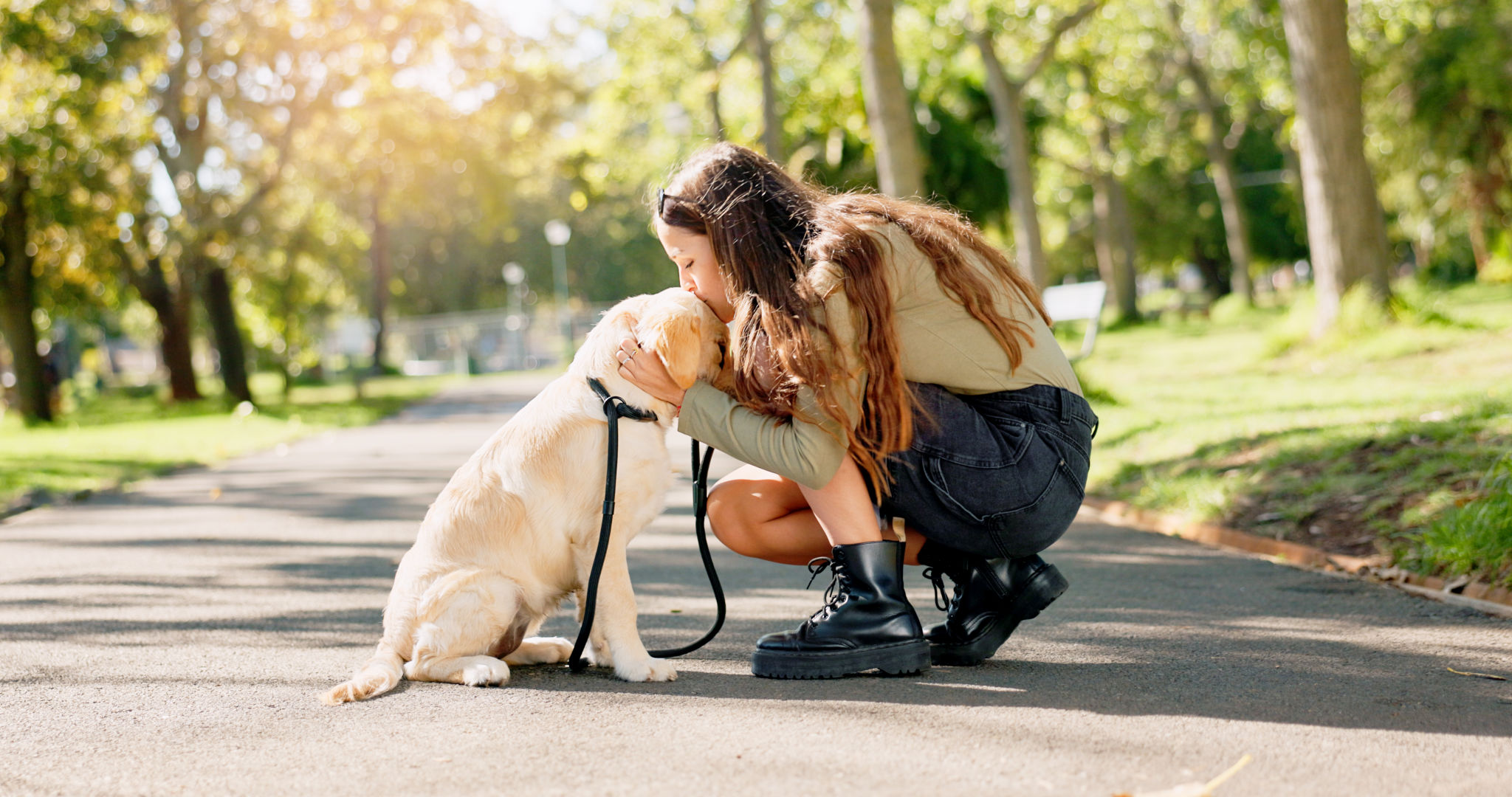 volunteer animal care