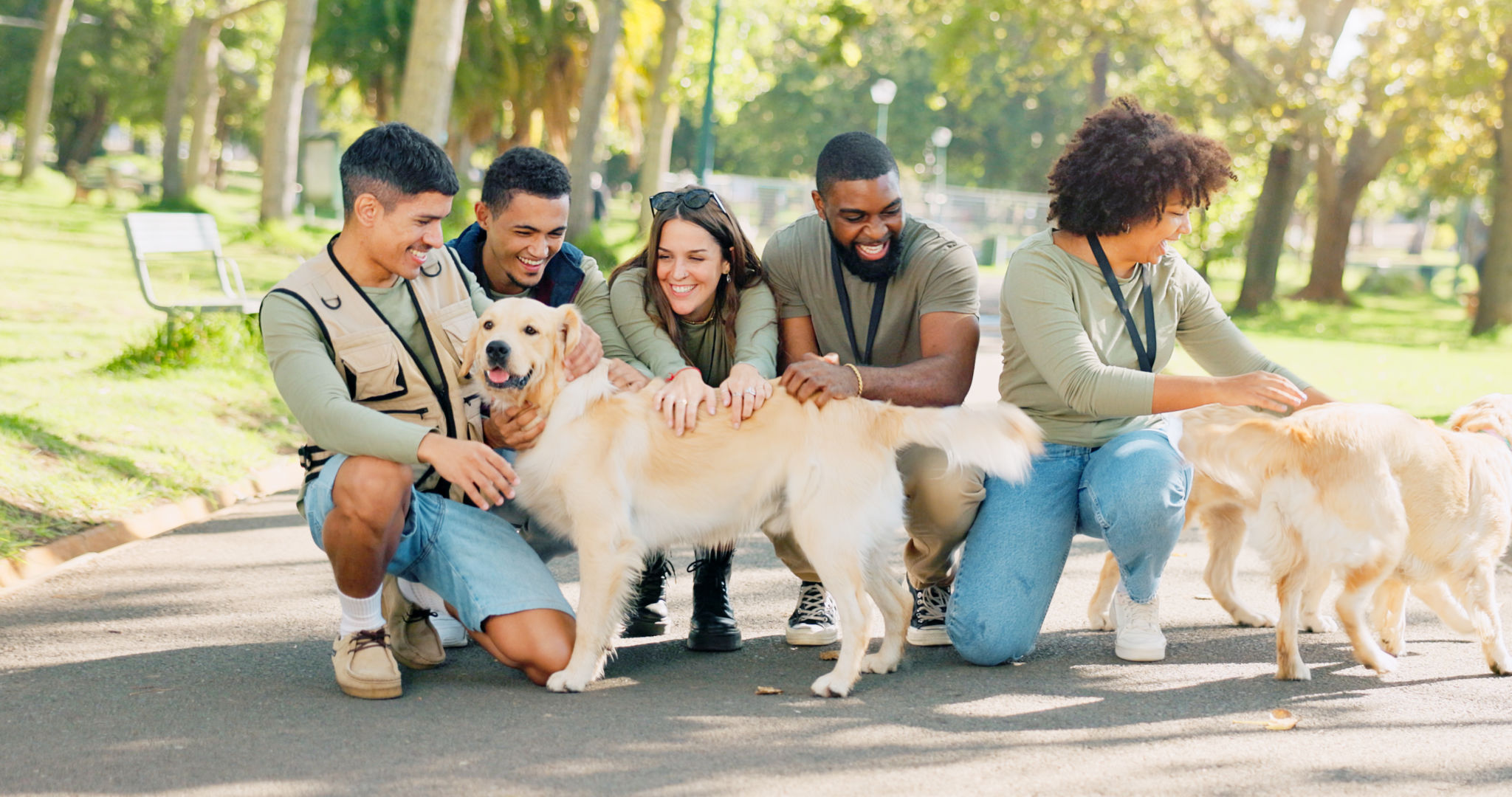 shelter volunteer