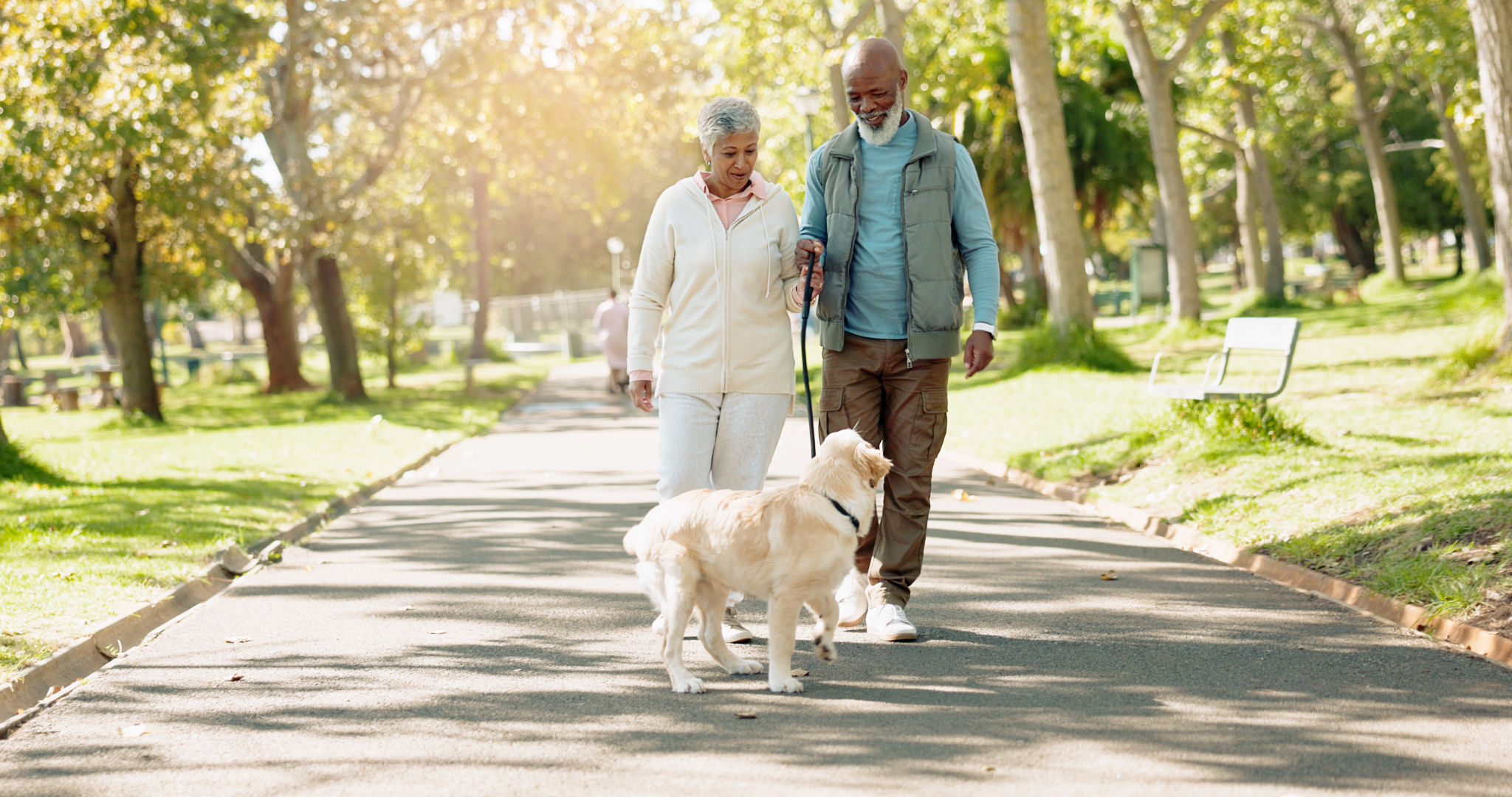 senior dog walking