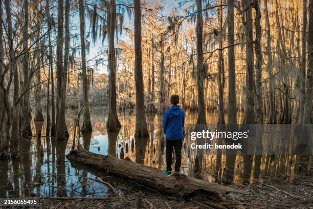 caddo lake bayou landscape boy texas usa - texas forest stock pictures, royalty-free photos & images