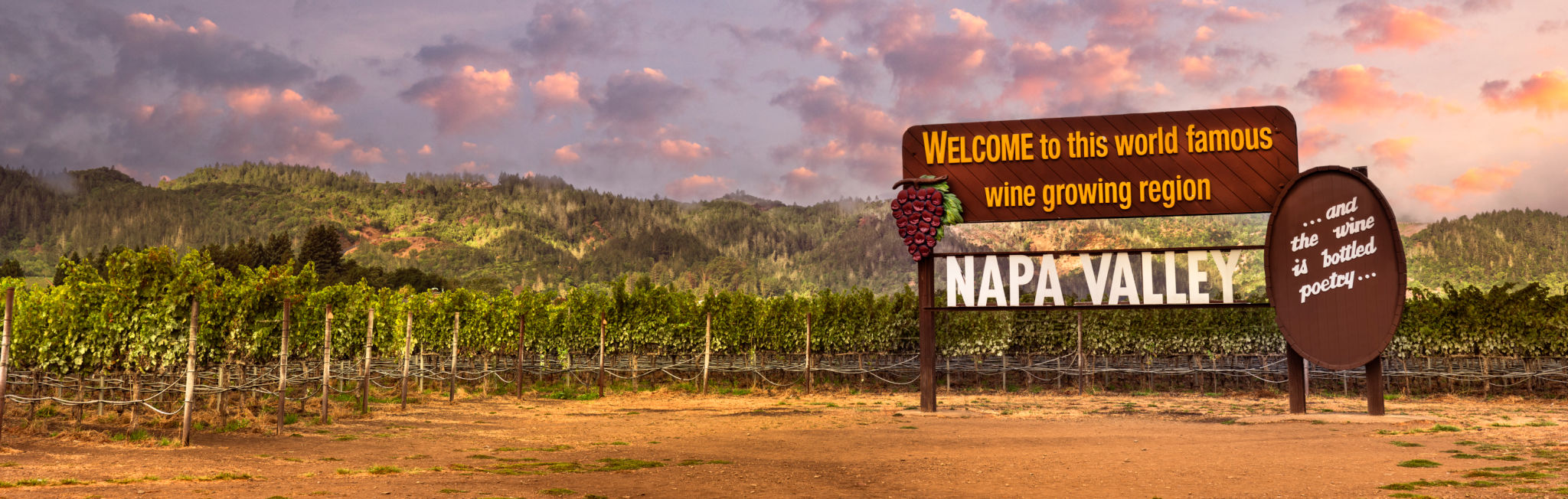 napa outdoor event