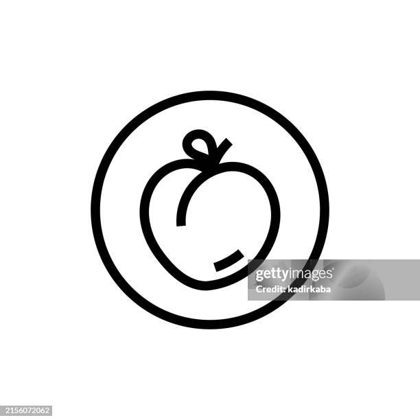 peach fruit line icon. - nectarine stock illustrations