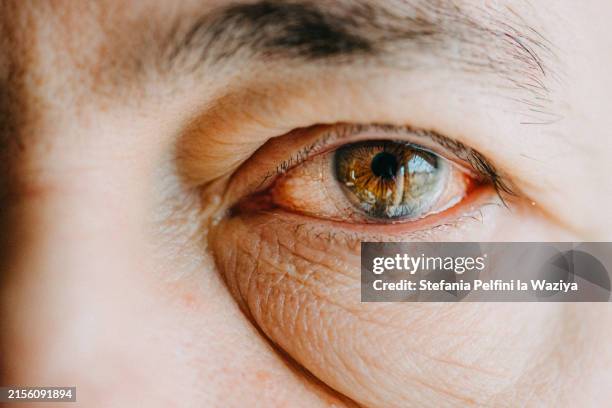 male human eye - globo ocular imagens e fotografias de stock