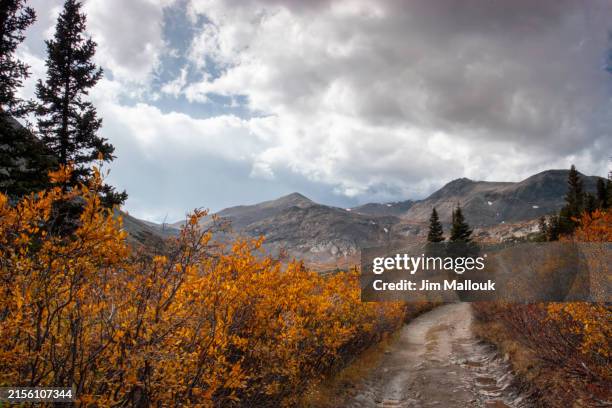 Fall Wheller 863 Mt Wheeler Stock Photos, High-Res Pictures, and Images - Getty Images