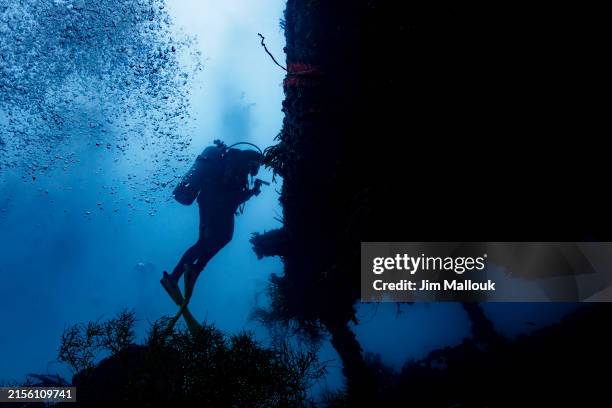 scuba diver silhouette on japanese wwii shipwreck - diving equipment stock pictures, royalty-free photos & images