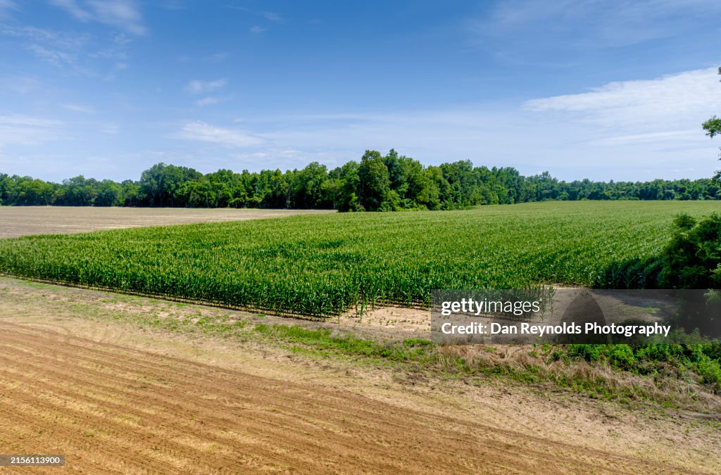 Farmland -Agriculture-Drone View